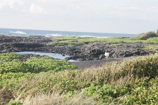 Black Sand Beach, Punaluu