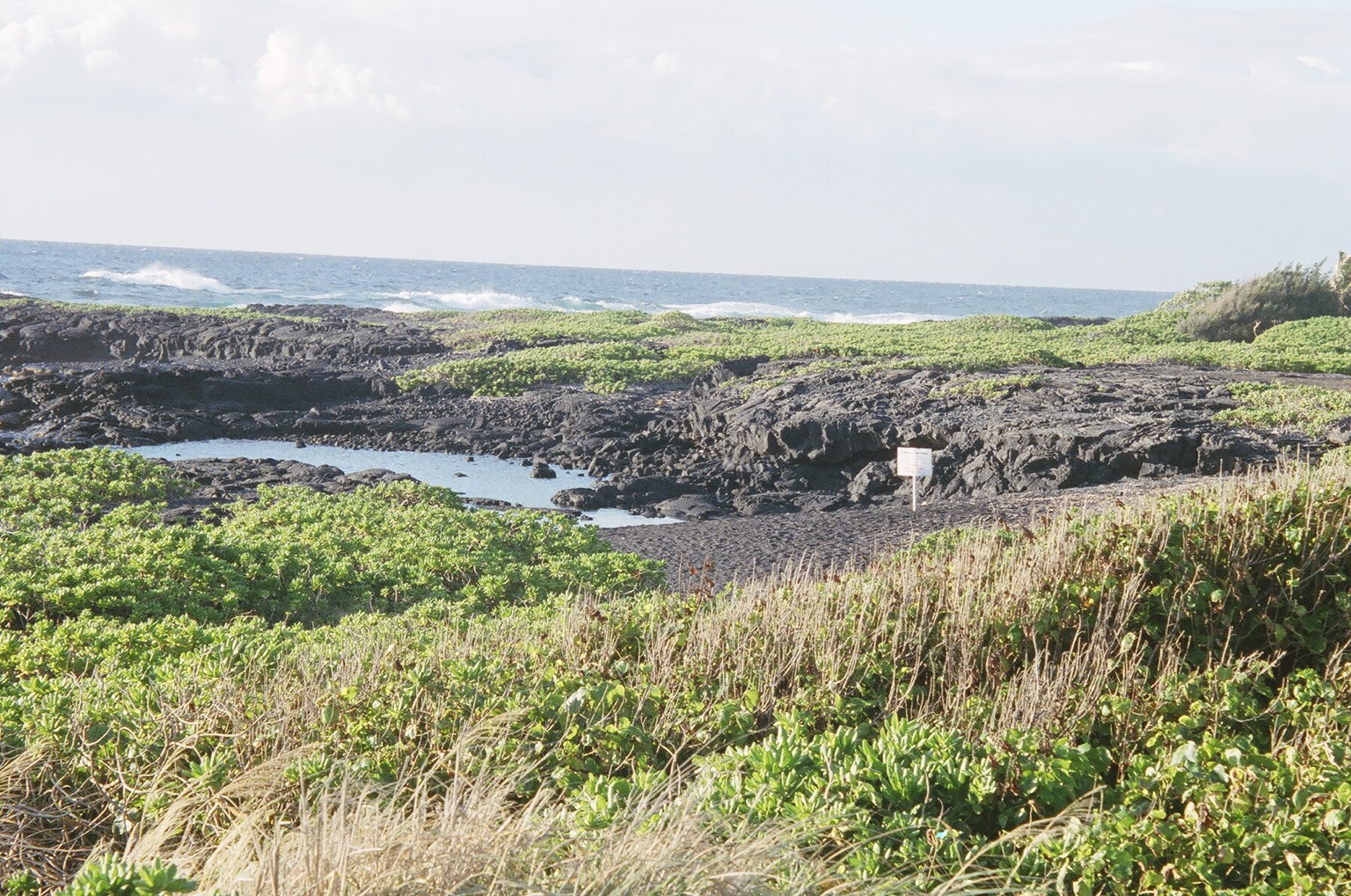 Black Sand Beach, Punaluu