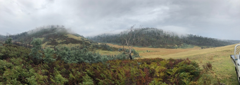 USask graduate student Paul Lamp travelled to Tasmania in May 2019. (Submitted Photo)