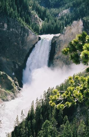 Yellowstone Falls