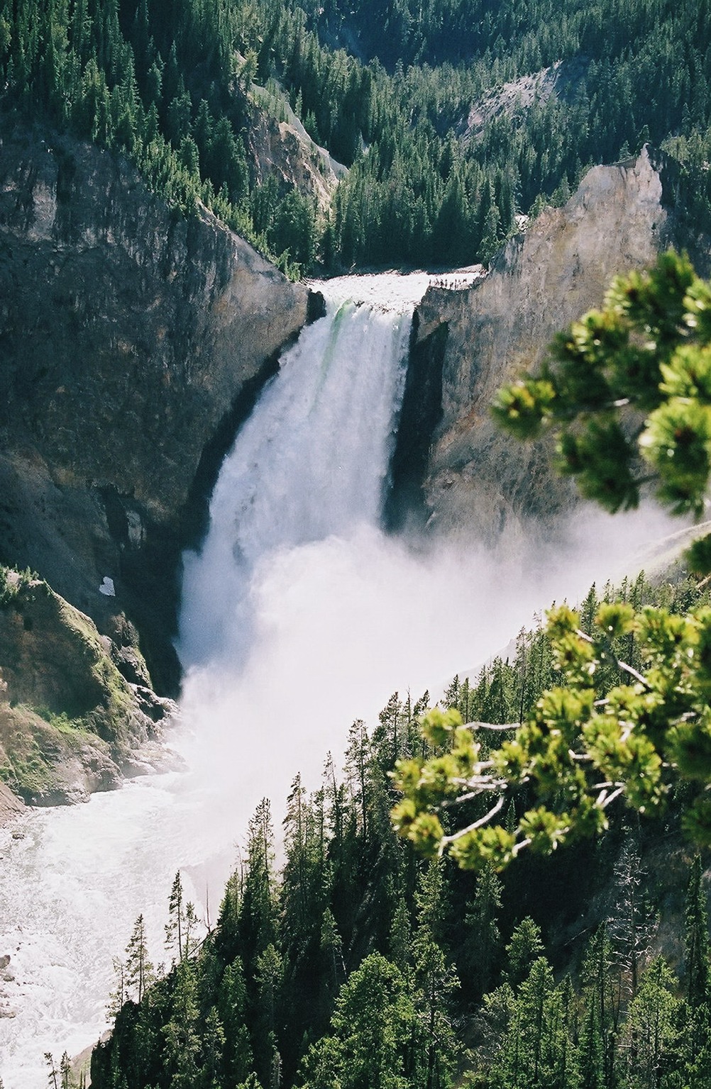 Yellowstone Falls
