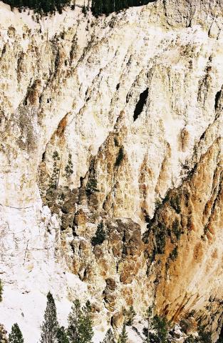Side of Canyon