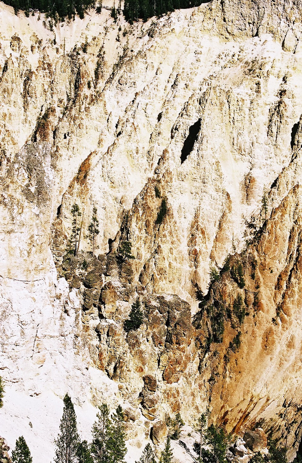 Side of Canyon