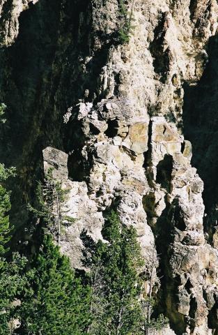 Osprey's Nest
