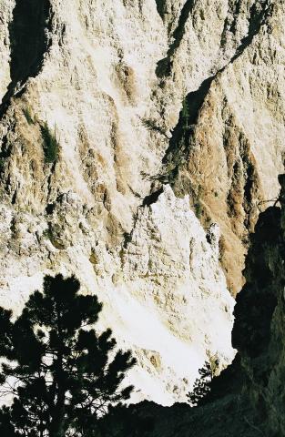 Wider view of Osprey Nest