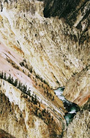 Lower Yellowstone River