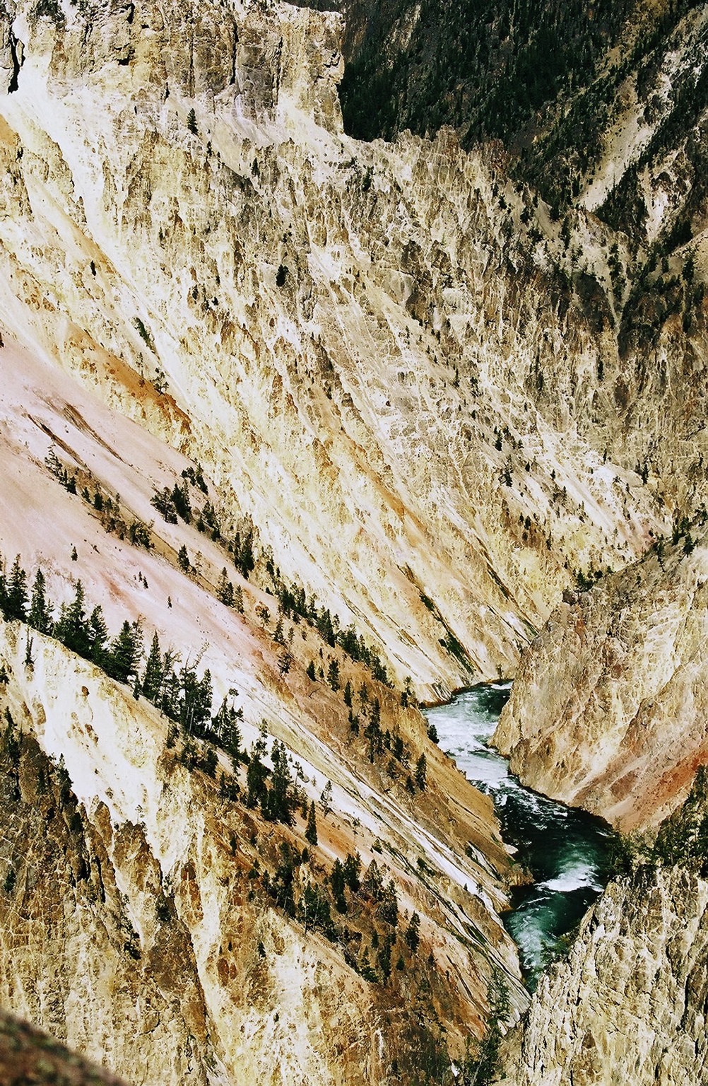 Lower Yellowstone River