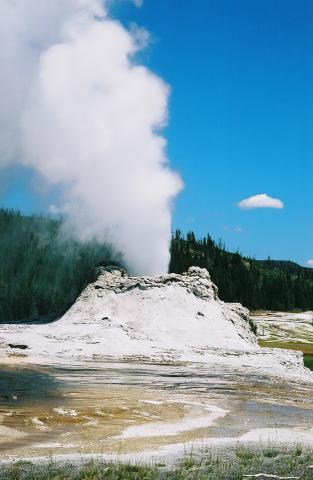 Next Geyser