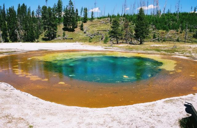 Beauty Pool