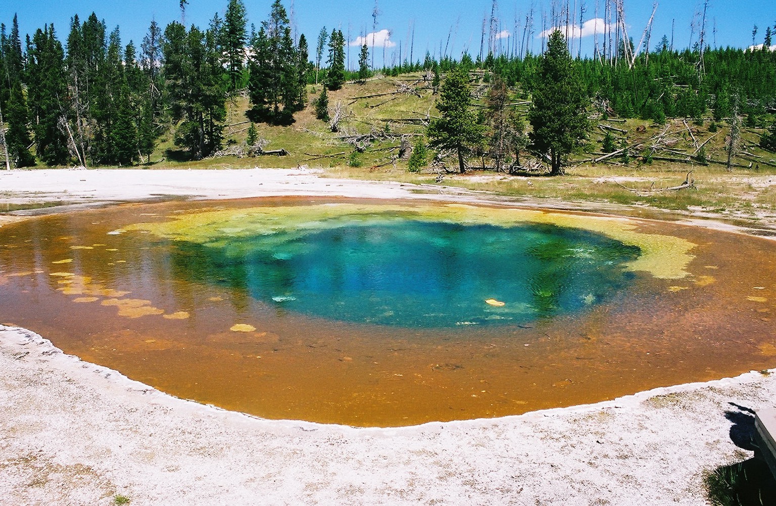 Beauty Pool
